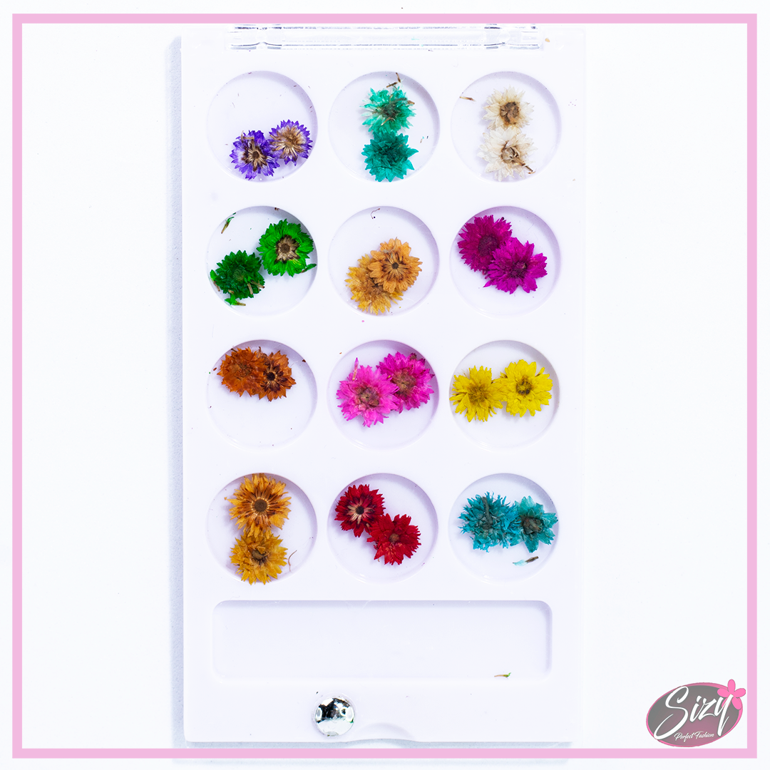 Caja De Naturaleza Muerta