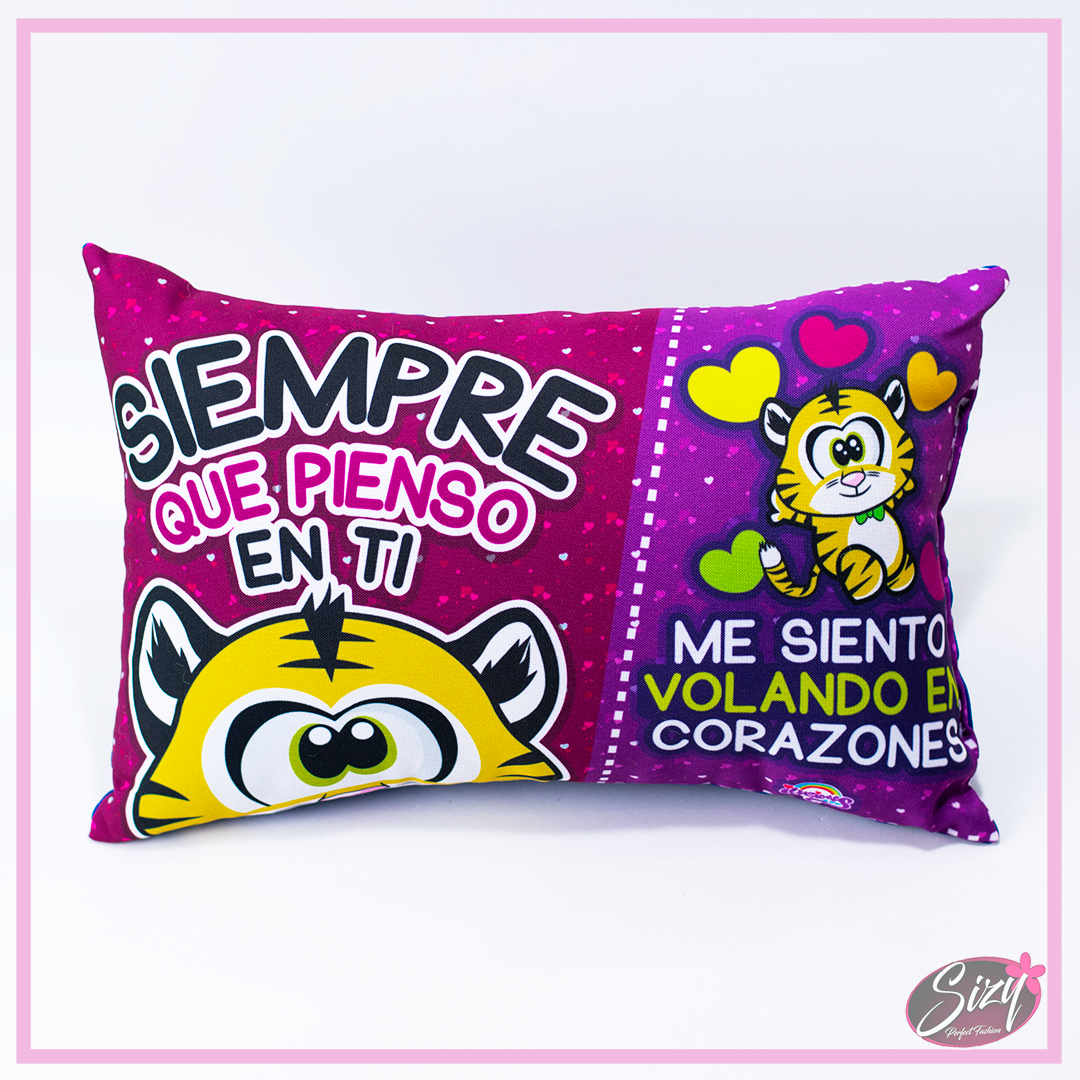 Almohada Especial De Amor