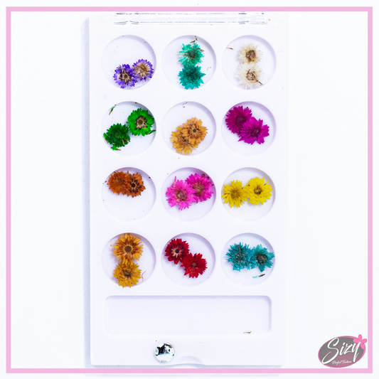 Caja De Naturaleza Muerta